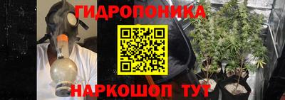 молекула духа Кингисепп