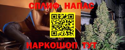 молекула духа Кингисепп