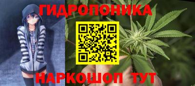 молекула духа Кингисепп