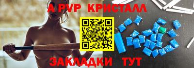 молекула духа Кингисепп