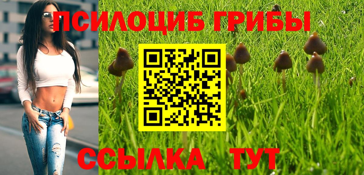 Королёв  закладки  Вход с VPN  Псилоцибиновые грибы прущие грибы  Галлюциногенные грибы прущие грибы 