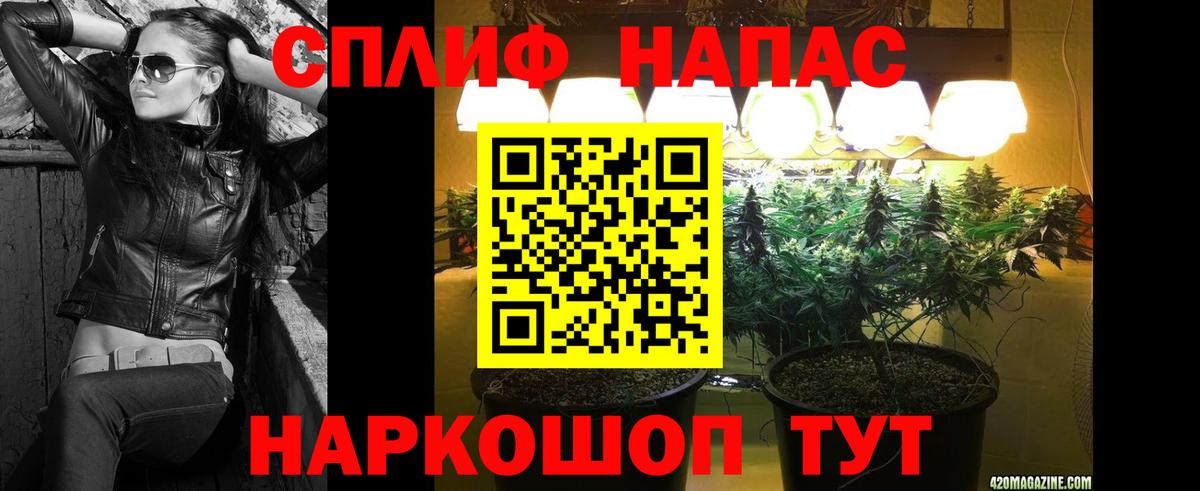 Экстази Королёв